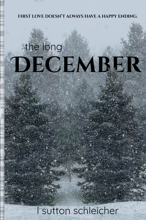 Kniha The Long December L Sutton Schleicher