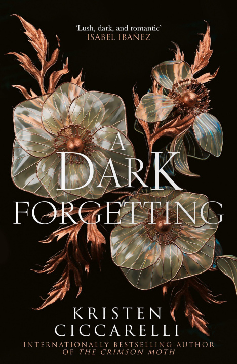 Kniha Dark Forgetting Kristen Ciccarelli