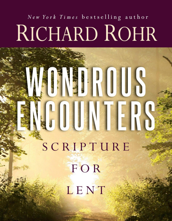 Kniha Wondrous Encounters ROHR RICHARD