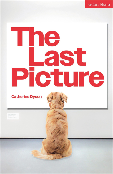 Kniha The Last Picture Catherine Dyson