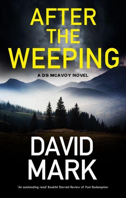 Kniha After the Weeping David Mark