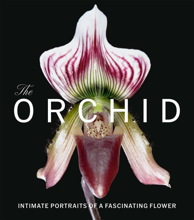 Kniha Orchid David Berry