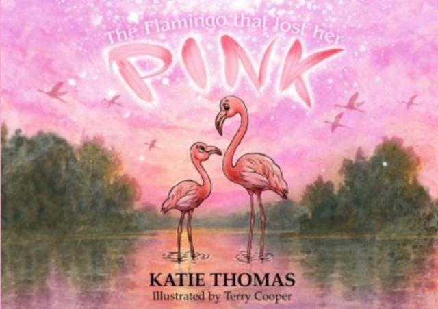 Knjiga Flamingo That Lost Her Pink Katie Thomas