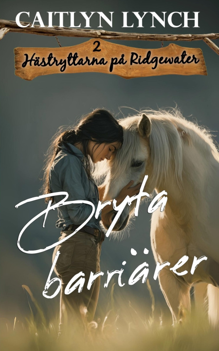 Buch Bryta barriärer Caitlyn Lynch