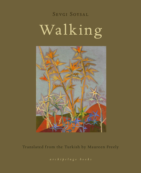 Kniha Walking Maureen Freely