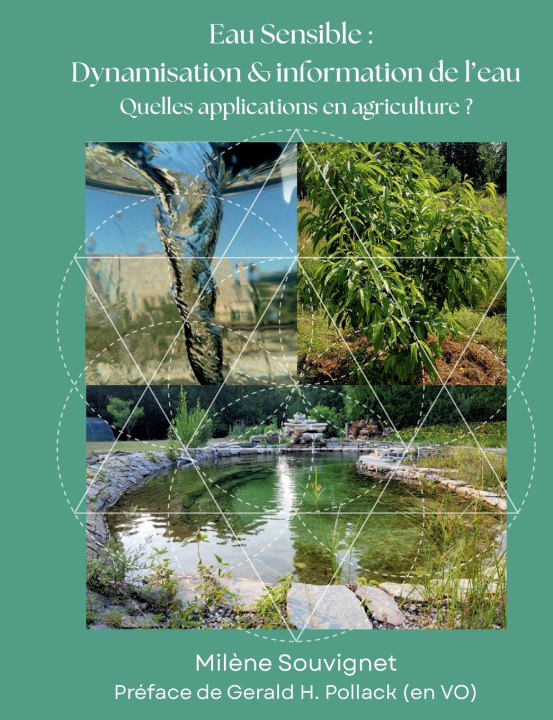 Knjiga L'eau sensible : Dynamisation et information de l'eau Souvignet