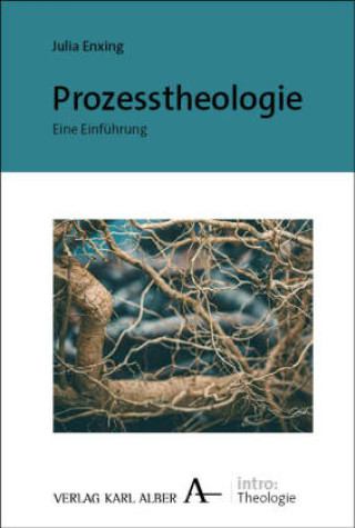 Knjiga Prozesstheologie Julia Enxing