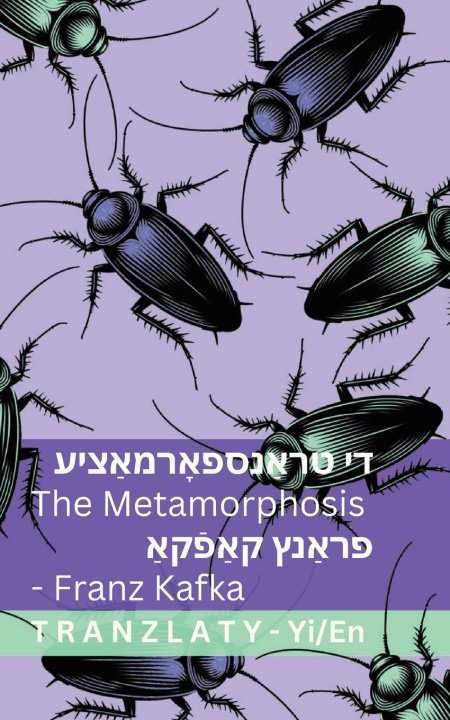 Kniha די טראַנספאָרמאַציע / The Metamorphosis Franz Kafka