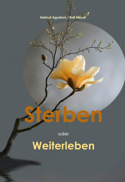 Kniha Sterben oder Weiterleben Rolf Meyer
