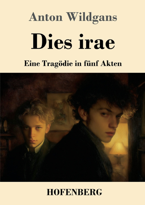 Knjiga Dies irae Anton Wildgans