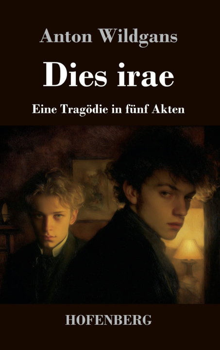 Kniha Dies irae Anton Wildgans