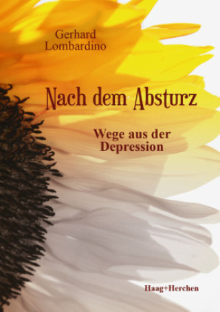 Knjiga Nach dem Absturz Gerhard Lombardino