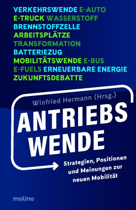 Kniha Antriebswende Roman Zitzelsberger