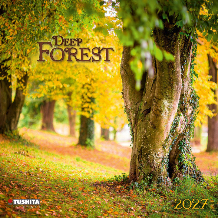 Kalendář/Diář Deep Forest 2027 