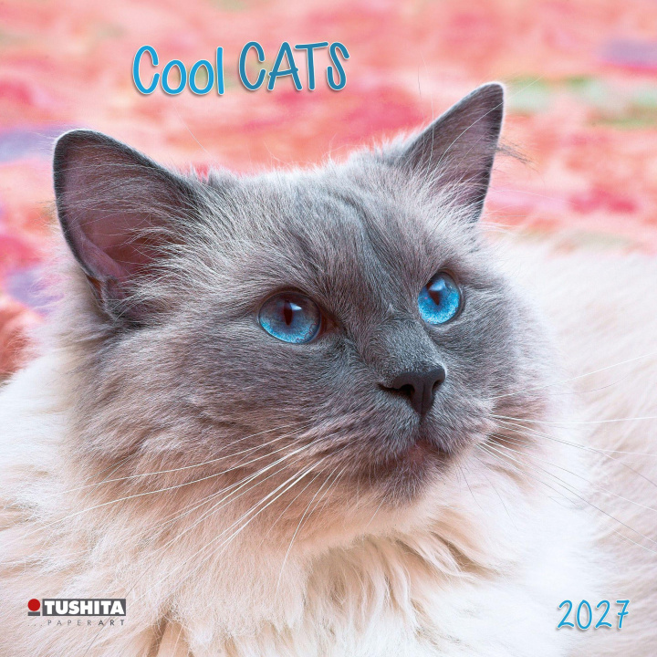 Kalendář/Diář Cool Cats 2027 