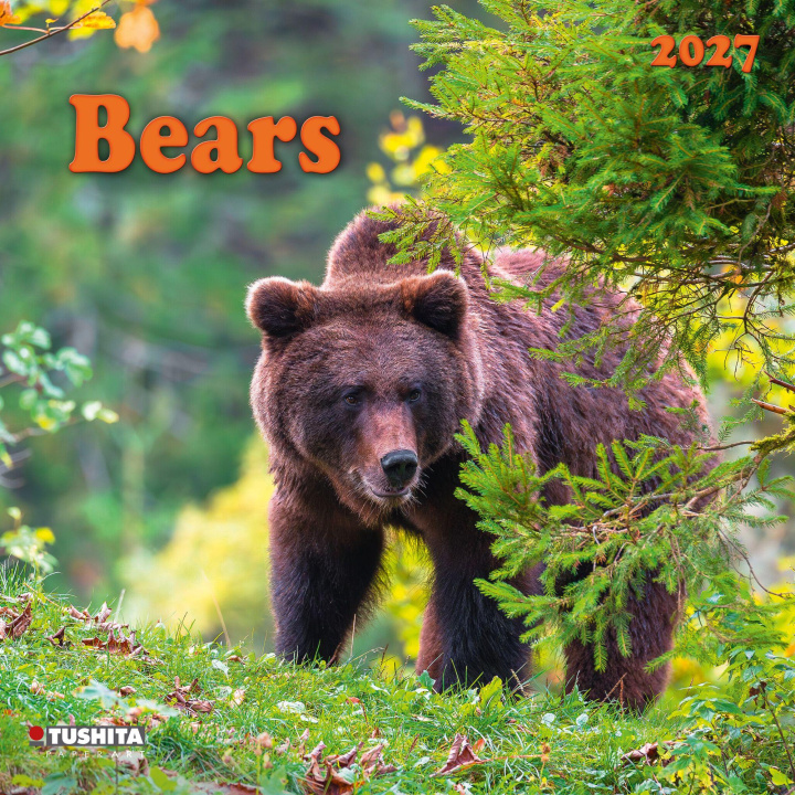 Koledar/Rokovnik Bears 2027 