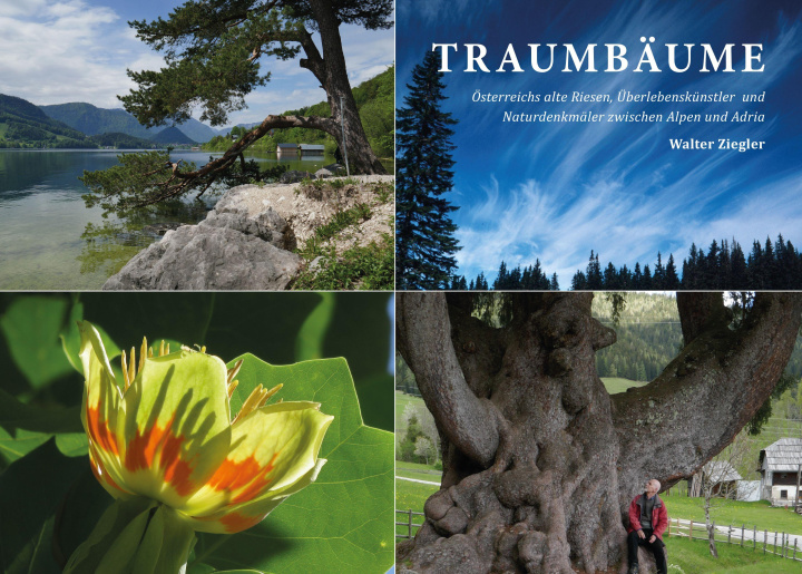 Könyv Traumbäume 