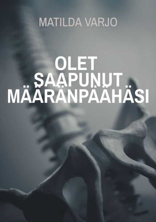 Knjiga Olet saapunut määränpäähäsi 