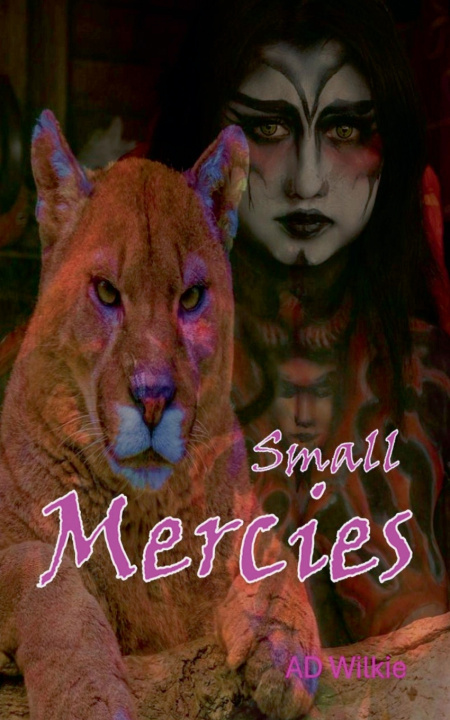Kniha Small Mercies AD Wilkie