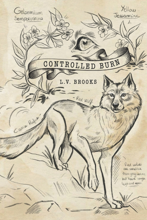 Könyv Controlled Burn L.V. Brooks