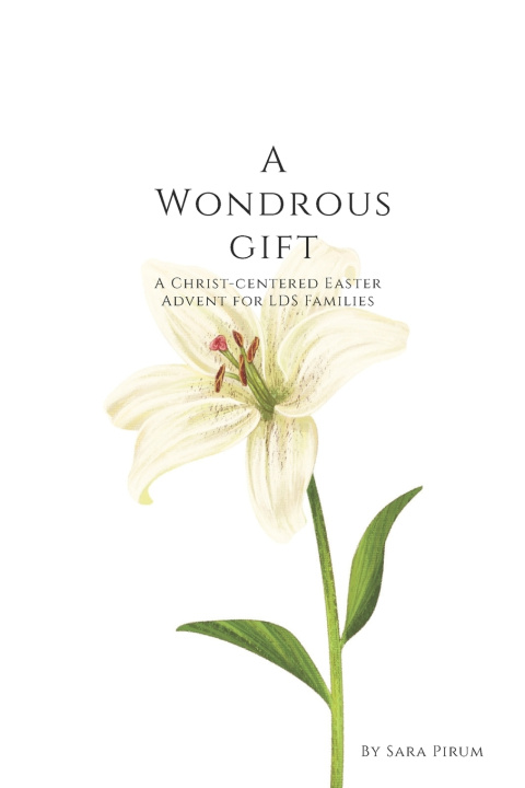 Kniha A Wondrous Gift Sara Pirum