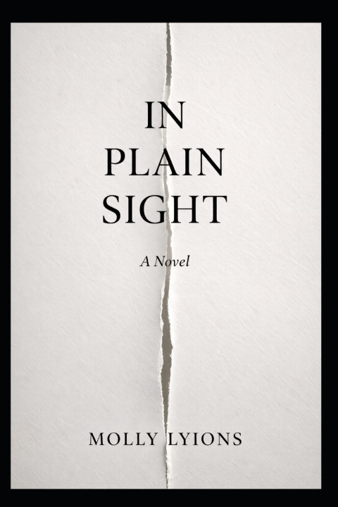 Kniha In Plain Sight Molly Lyions
