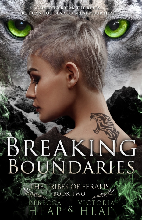 Kniha Breaking Boundaries Victoria Heap