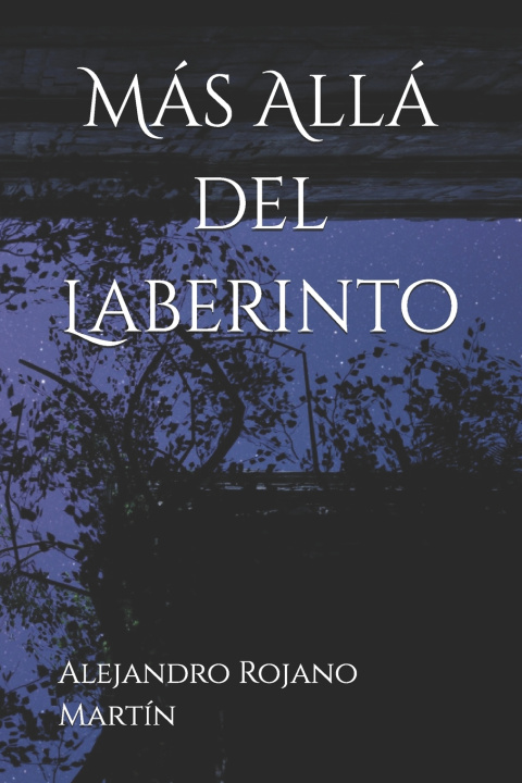 Kniha Más allá del laberinto Alejandro Rojano