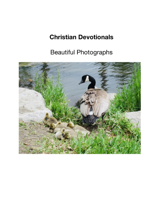 Kniha Christian Devotionals S.E. Lierman