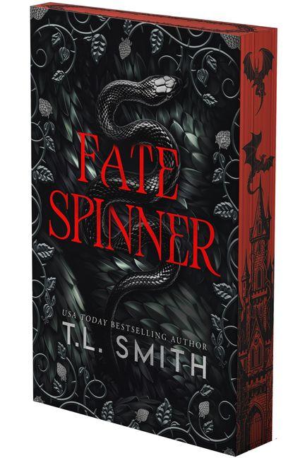 Kniha Fate Spinner 