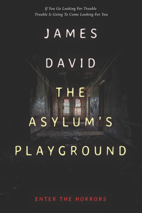 Kniha The Asylum's Playground James David
