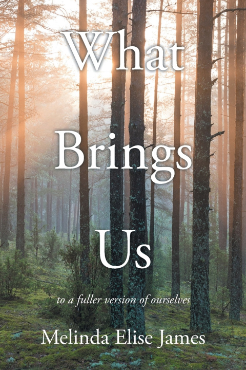 Kniha What Brings Us Melinda Elise James