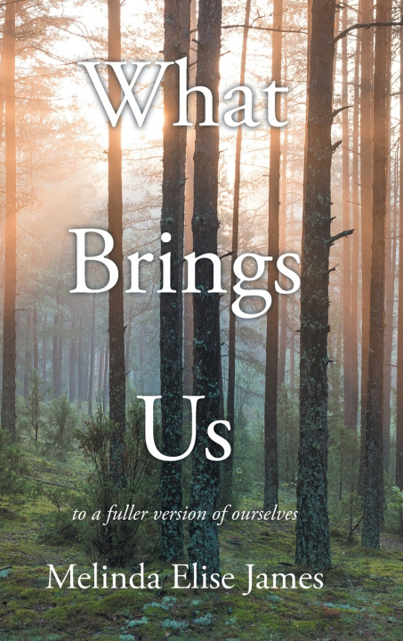 Kniha What Brings Us Melinda Elise James