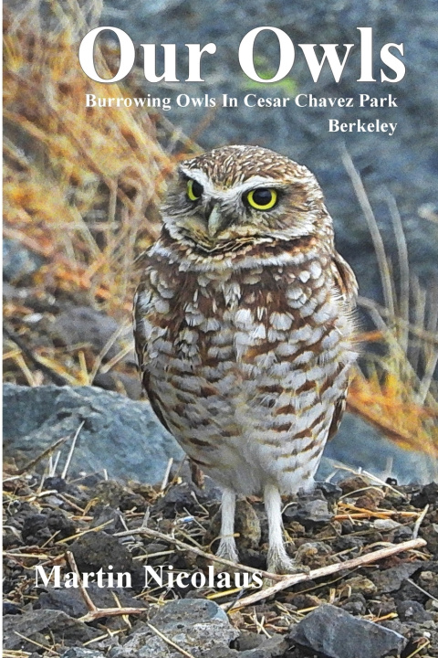 Kniha Our Owls MARTIN A. NICOLAUS