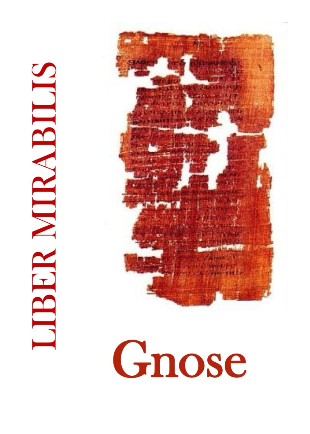 Kniha GNOSE SAVARY