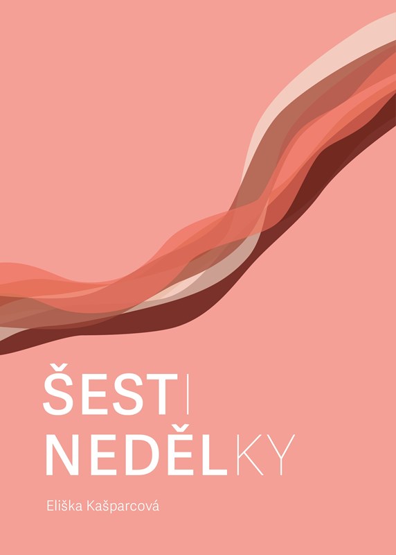 Knjiga Šestinedělky Eliška Kašparcová