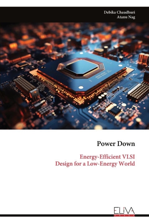 Kniha Power Down Debika Chaudhuri