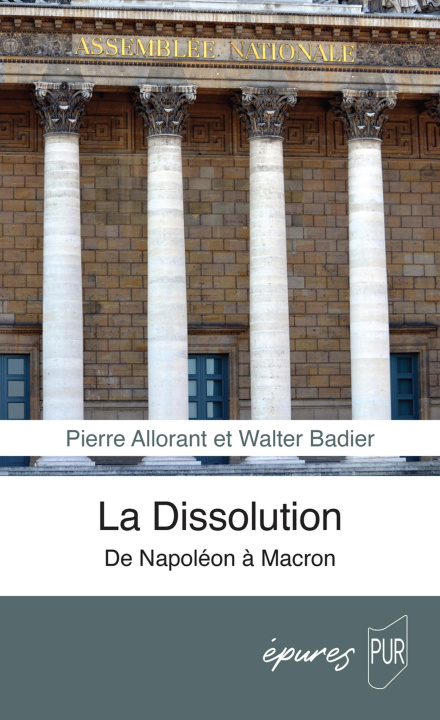 Könyv La Dissolution Badier