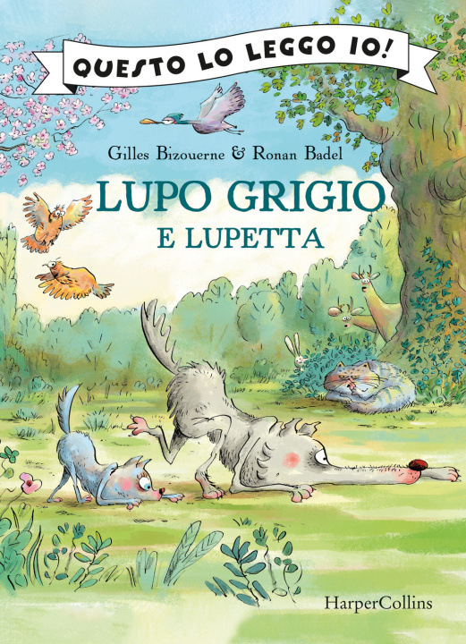 Kniha Lupo Grigio e Lupetta Gilles Bizouerne