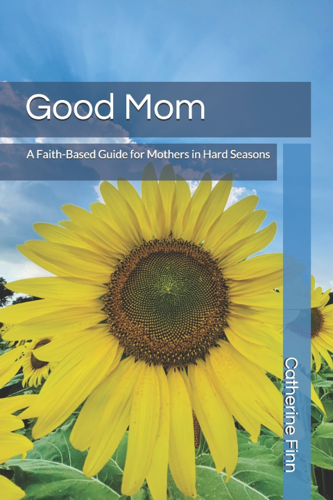 Kniha Good Mom Catherine Finn