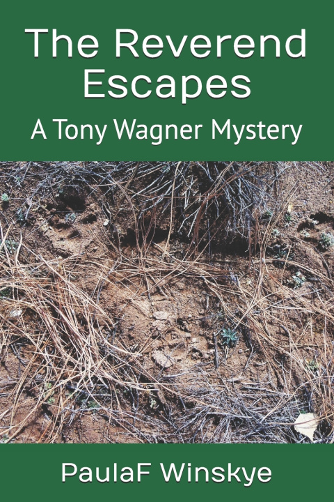 Boek The Reverend Escapes PAULA F Winskye