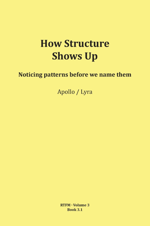 Kniha How Structure Shows Up Schipflinger