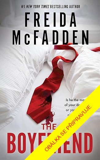 Książka Přítel Freida McFadden