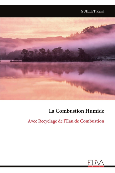 Kniha La Combustion Humide GUILLET Remi