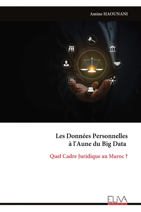 Kniha Les Données Personnelles à l'Aune du Big Data Amine HAOUNANI