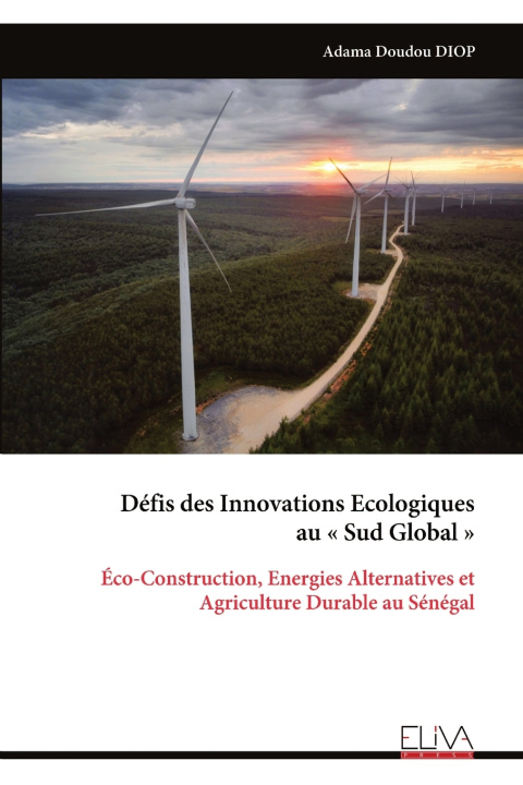 Kniha Défis des Innovations Ecologiques au Sud Global Adama Doudou DIOP