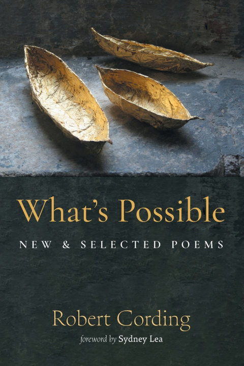 Kniha What's Possible Robert Cording