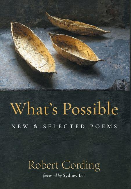 Kniha What's Possible Robert Cording