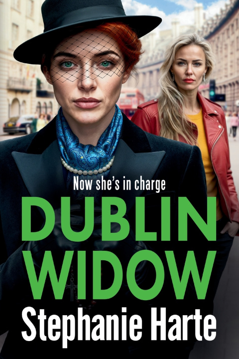 Kniha Dublin Widow Stephanie Harte