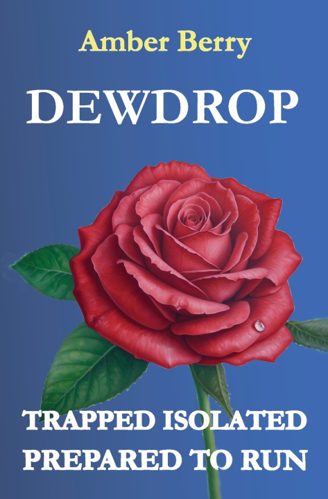 Kniha DEWROP Amber Berry
